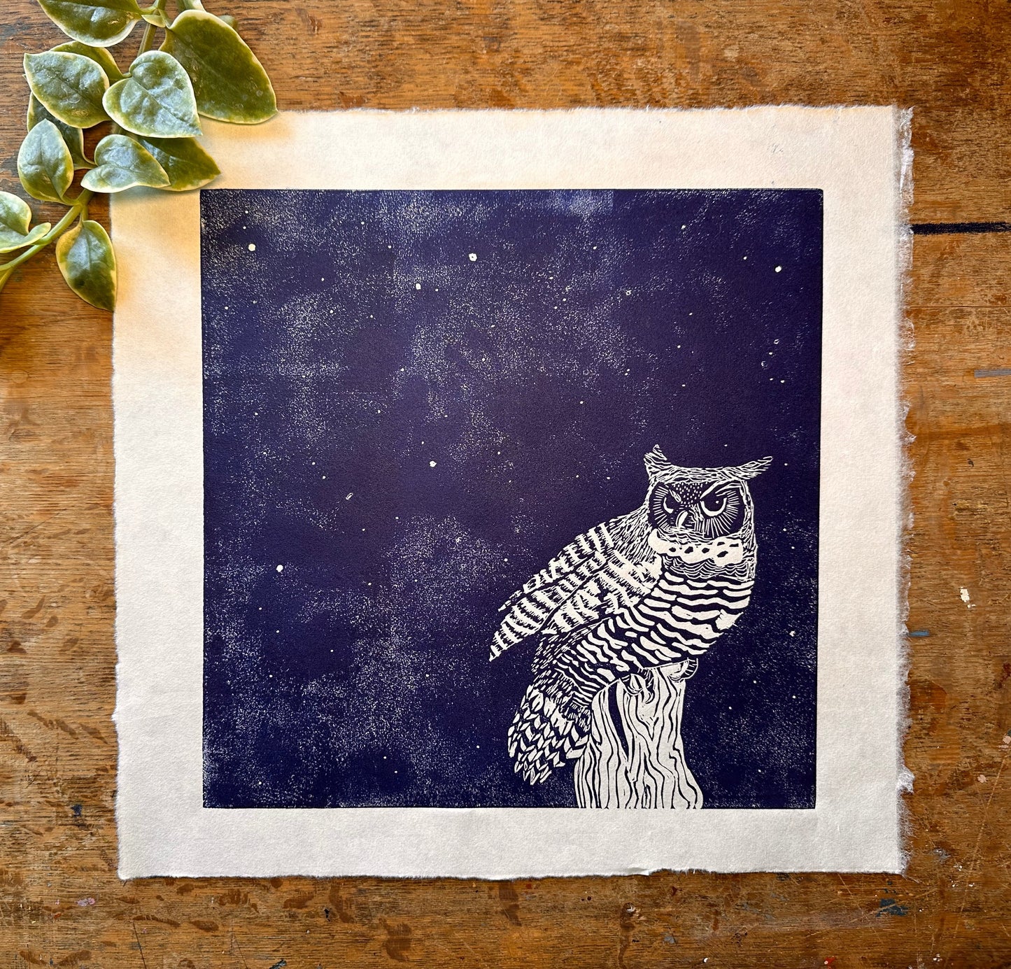 Great Horned Owl