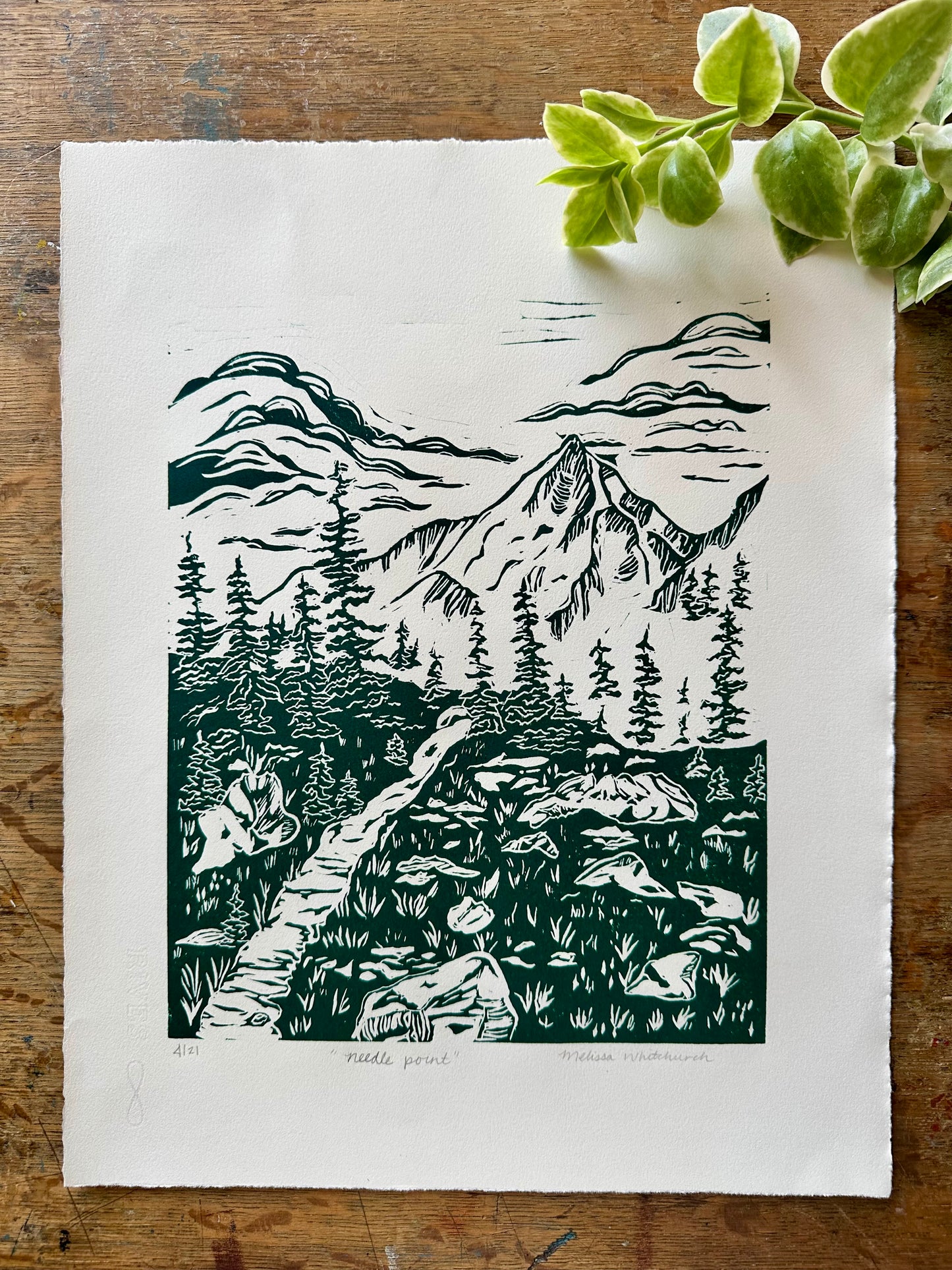 Needle Point